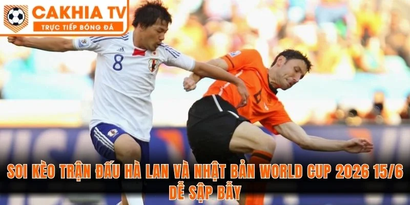 Soi kèo trận đấu Hà Lan và Nhật Bản World Cup 15/6 dễ sập bẫy